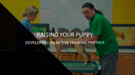 Raising Your Puppy with Michael Ellis - Developing an Active Training Partner