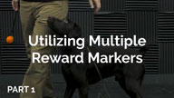 Utilizing Multiple Reward Markers with Ryan Maciej - Part 1