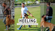 Creating a Feeling in Heel with Forrest Micke