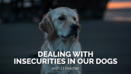 Dealing with Insecurities in Our Dogs with JJ Belcher