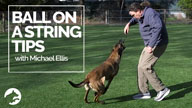 Ball on a String Tips with Michael Ellis