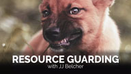 JJ Belcher on Resource Guarding