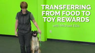 Transferring from Food to Toy Rewards with Michael Ellis