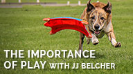 The Importance of Play with JJ Belcher