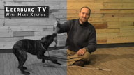 Passive Tug Techniques with Mark Keating - Leerburg TV