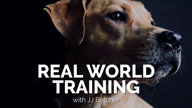 Real World Training with JJ Belcher
