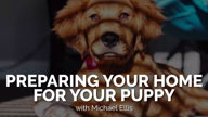 Preparing Your Home for Your Puppy with Michael Ellis