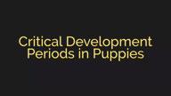 Critical Development Periods in Puppies with Michael Ellis