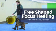 Free Shaped Focused Heeling with Anneliese Johnson