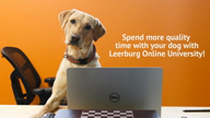 Leerburg Online University