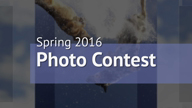 Spring 2016 Photo Contest