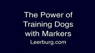 The Power of Training Dogs with Markers with Ed Frawley