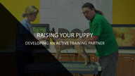 Raising Your Puppy with Michael Ellis