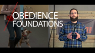 Obedience Foundations with Tyler Muto