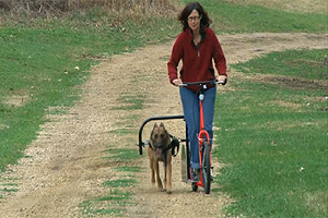 The Dog Powered Scooter