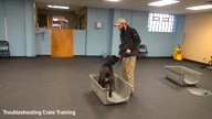 Trouble-Shooting Crate Training