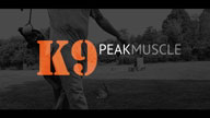 K9 Peak Muscle