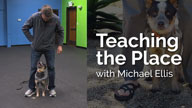 Teaching the Place with Michael Ellis