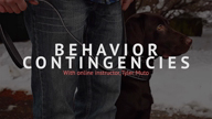 Behavior Contingencies