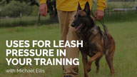 Uses for Leash Pressure in Training