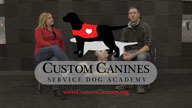 PTSD Service Dogs for Veterans from Custom Canines