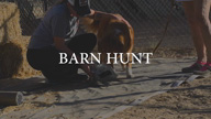 Barn Hunt with JJ Belcher