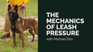 The Mechanics of Learning Leash Pressure