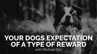 Your Dogs Expectation of a Type of Reward