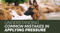 Understanding Common Mistakes in Applying Pressure During Training