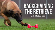 Backchaining the Retrieve with Michael Ellis