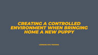 Creating a Controlled Environment When Bringing Home a New Puppy with Mark Keating