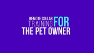 New Online Course - Remote Collar Training for the Pet Owner