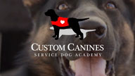 Custom Canines Short