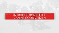 Introduction to the Canine Good Citizen