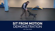 Sit From Motion Demonstration with Tyler Muto