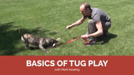 The Basics of Tug Play with Mark Keating