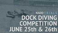 NADD Trials - Dock Diving Competition