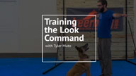Training the Look Command with Tyler Muto