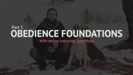 Obedience Foundations Part 1 - Coming Soon to DVD