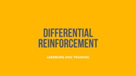 Differential Reinforcement with Tyler Muto