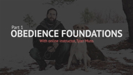 Obedience & Behavior Foundations Part 1 with Tyler Muto