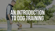 An Introduction to Dog Training with Jeff Frawley