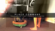 Place Commands
