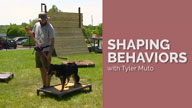 Shaping Behaviors with Tyler Muto