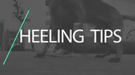 Heeling Tips with Forrest Micke