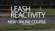 New Online Course - Leash Reactivity