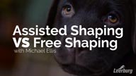 Assisted Shaping vs Free Shaping