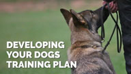 Developing Your Dogs Training Plan