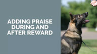 Adding Praise During and After the Reward