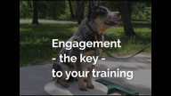 Engagement is the Key to Training